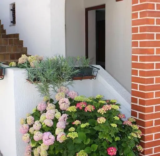 בית הארחה Barbat 730 Barbat na Rabu